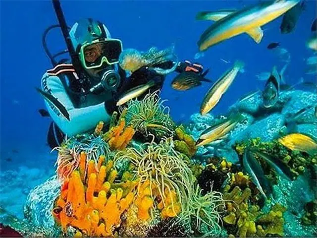 Marmaris Dalış Turu - Tur Görseli